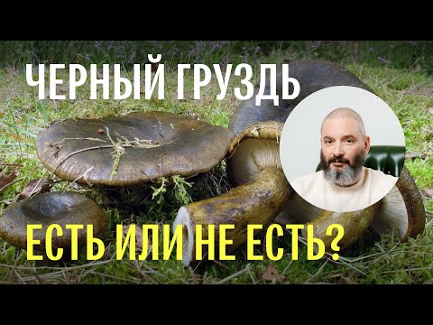 Видео: Для новичков: об опасности чернушки (черного груздя)