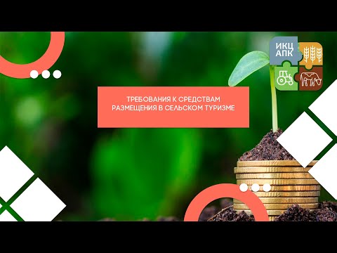 Видео: Запись семинара  от 31 июля 2024 года