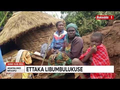 Видео: Оползень в Себее унес жизни 24 человек