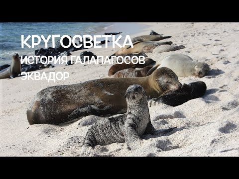 Видео: КРУГОСВЕТКА // ДЕНЬ 120 / ЭКВАДОР: ИСТОРИЯ ГАЛАПАГОССКИХ ОСТРОВОВ И ПЕРВОЕ ВПЕЧАТЛЕНИЕ ОТ КИТО