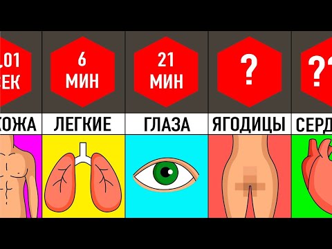 Видео: 10 Органов, Без Которых Вы Сможете Выжить
