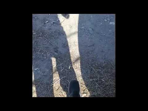 Видео: Восстановление безопасности, и поиск причины ошибки по AIRBAG, Меган 2 ( Отключайте аккумулятор)!