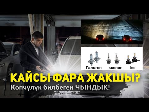 Видео: Фара.   Унаа таануу. #ЭламанАкадемиясы#унаатаануу#элсто