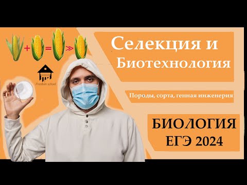 Видео: СЕЛЕКЦИЯ И БИОТЕХНОЛОГИЯ Для ЕГЭ 2024 |ЕГЭ БИОЛОГИЯ|Freedom|