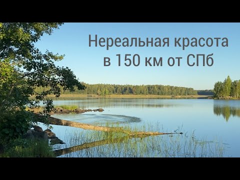 Видео: 100 островов в 150 км от Санкт-Петербурга | На лодке по озеру Вуокса