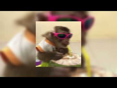 Видео: плейлист что бы почувствовать себя в эдите | playlist to feel💋