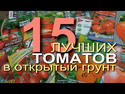 Видео: ЛУЧШИЕ ТОМАТЫ для ОТКРЫТОГО ГРУНТА. Советы от ЗЕЛЕНОГО ОГОРОДА.