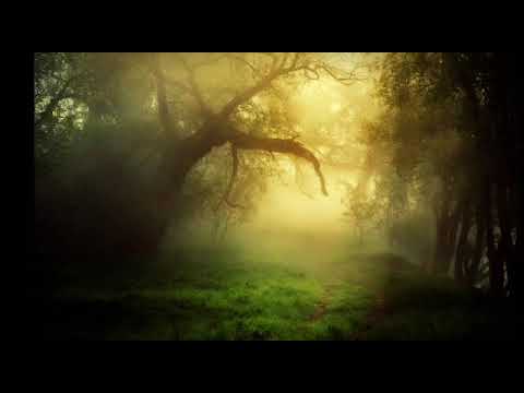 Видео: Не время для драконов Калиса