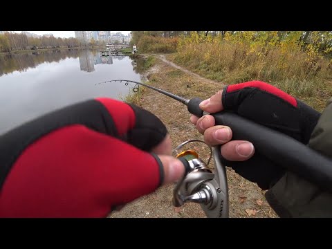 Видео: Лютая раздача щуки на озере Королек-ловил на воблера TSUYOKI 03.11.2021