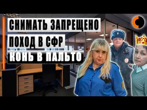 Видео: Конь в пальто || Поход в СФР и запрет съёмки