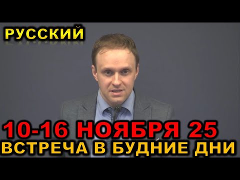 Видео: Встреча в будние дни 10-16 НОЯБРЯ  2025
