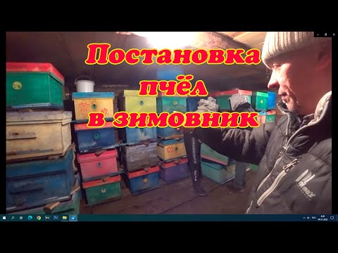 Видео: СОСТАВЛЯЕМ ПЧЁЛ В ЗИМОВНИК, ХИТРЫЙ ЗАЯЦ