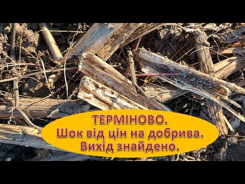 Видео: Терміново. Шок від цін на добрива. Вихід знайдено.