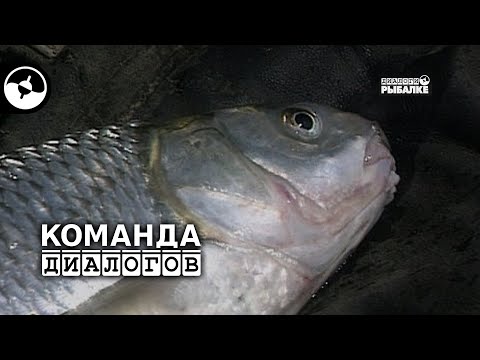 Видео: Ловля кутума | Классика