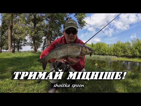 Видео: 💥ВОНИ ПОВІДРИВАЮТЬ ВАМ ВСЕ‼️ ГОЛОВЕНЬ НА ПСЛІ/Коливалки Shostka spoon
