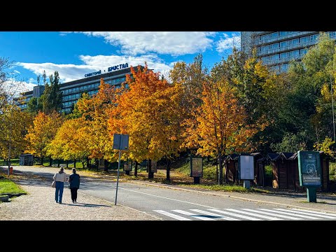 Видео: ТРУСКАВЕЦЬ 2024 | Оренда житла на курорті в осінній період! Прогулянка вулицями міста! 4к |