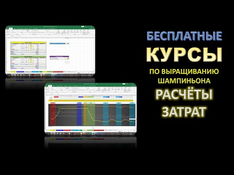 Видео: Курсы по выращиванию шампиньонов. Грибы! Бизнес в гараже и себестоимость! #DENLife