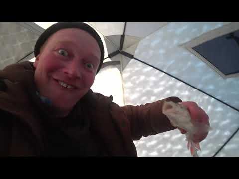 Видео: Рыбалочка. Хроники февральского подлёдного лова на Чепце.