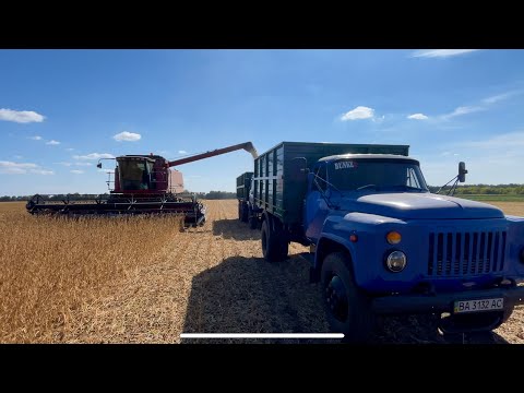 Видео: Жнива Сої pioneer,очікував не те що вийшло😭АТРІЯ мощ 💪