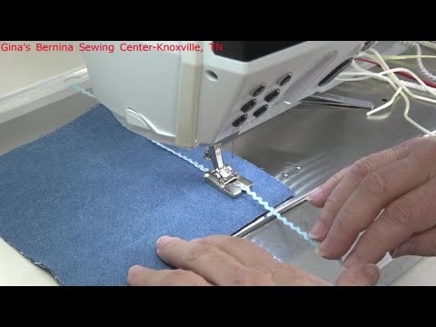 Видео: Советы Джины: лапка Bernina #12C на Bernina 880 Plus