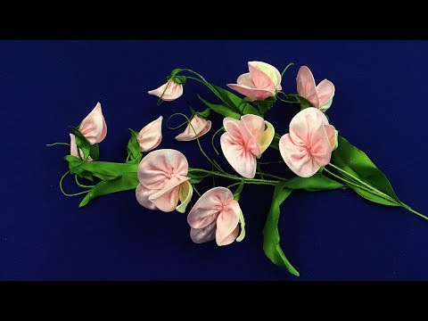 Видео: Sweet peas of ribbons/Guisantes dulces de las cintas/Душистый горошек из лент