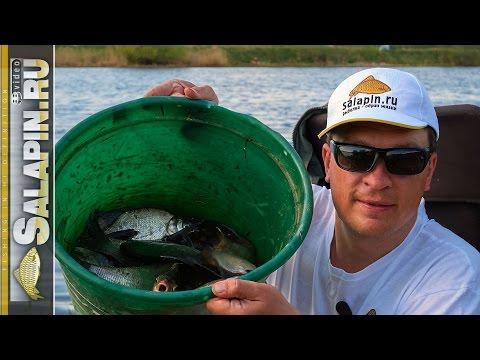 Видео: С фидером весной на малой реке [salapinru]