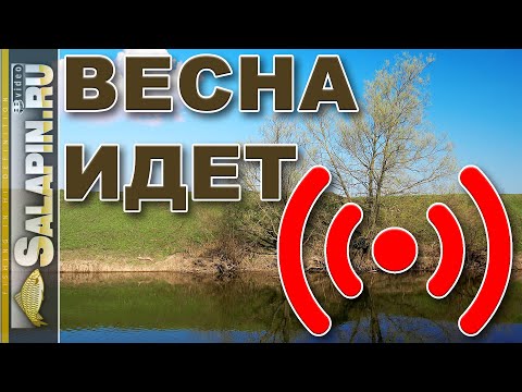 Видео: Вопрос-ответ. 30.03.2021. Продолжение