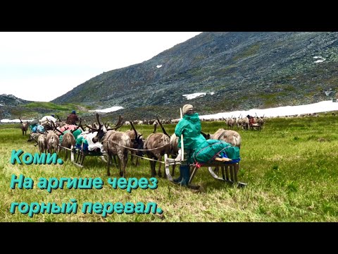 Видео: Коми оленеводы. Как перейти через Уральские горы | Изьватас олэм. 06.10.2021