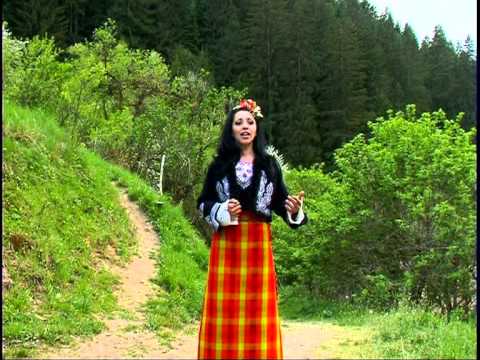 Видео: Румяна Дилова-Планино стара планино