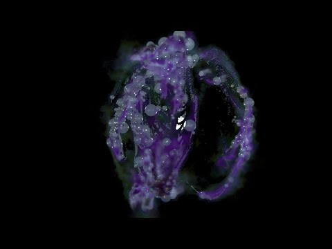 Видео: КРАТКОЕ РУКОВОДСТВО: Houdini Fx RBD + Smoke: Художественный хаос с VEX