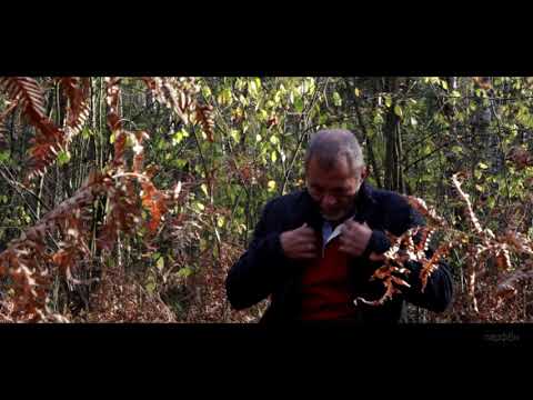 Видео: Николай Парфенюк " Я за толстыми ставнями " (Н.Парфенюк\А.Виста)