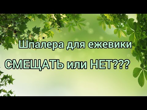 Видео: Расположение шпалеры по отношению ряда. Смещать или нет?