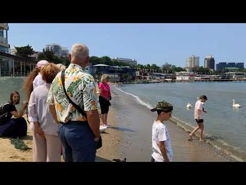Видео: Анапа Золотые пески Наше время Июнь 2025