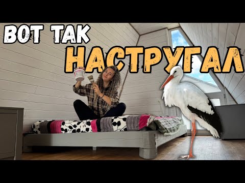 Видео: В а-фрейм ОТКАЗЫВАЮТСЯ подключать ГАЗ! Как быть, ведь ГОСТИ уже на пороге!