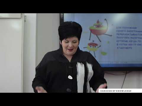 Видео: Опилки онлайн сабақ