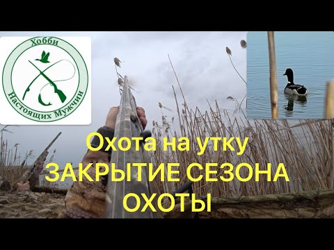 Видео: ОХОТА НА УТКУ  2023-2024/ЗАКРЫТИЕ СЕЗОНА