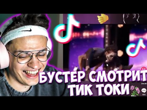 Видео: БУСТЕР СМОТРИТ ДУШЕВНЫЕ ТИК ТОКИ / БУСТЕР СМОТРИТ ТИК ТОК / BUSTER