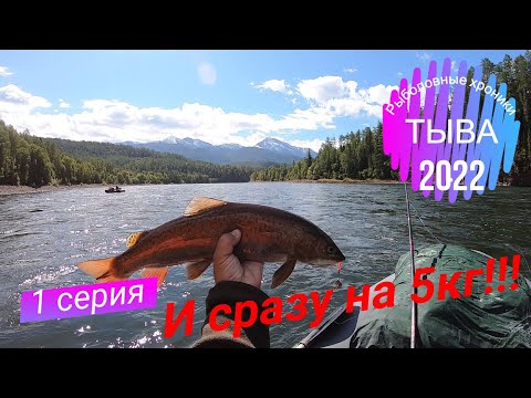 Видео: БЕШЕНЫЙ КЛЁВ ТАЙМЕНЯ И ЛЕНКА!!!/ТЫВА 2022/1 СЕРИЯ/НАЧАЛО СПЛАВА И СРАЗУ НА 5 КГ!!!/РЫБАЛКА НА БЛЕСНУ