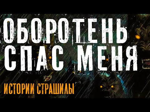 Видео: Добрый оборотень в лесу. Мне очень повезло!  история про оборотня