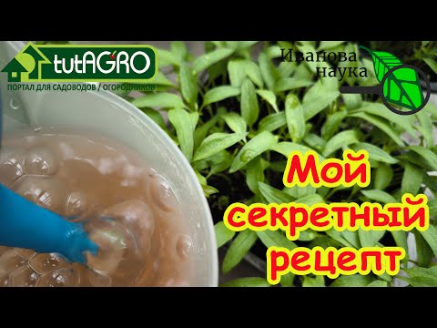 Видео: РАСКАЧАЙТЕ ФИТОСПОРИН! Простой способ усилить действие биопрепаратов в 100 раз!