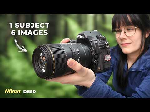 Видео: Тонкие пейзажи лета: лесная съемка с помощью D850