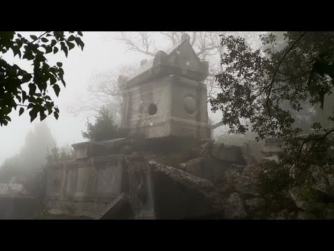 Видео: Затерянный город гигантов | s03e21