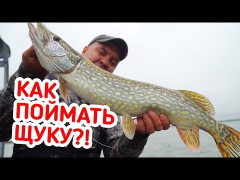 Видео: РЫБАЛКА НА РУСЛОВУЮ ЩУКУ! КАК ПОЙМАТЬ ЩУКУ ОСЕНЬЮ?!