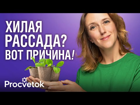 Видео: БИТВА ГРУНТОВ: в каком из 5 рассада НЕВЕРОЯТНАЯ, а в каком - жалкая?