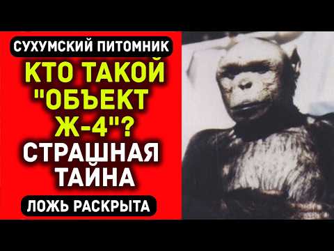 Видео: ГИБРИД ЧЕЛОВЕКА И ОБЕЗЬЯНЫ - реальный эксперимент СССР 1927 года! Архивы рассекречены