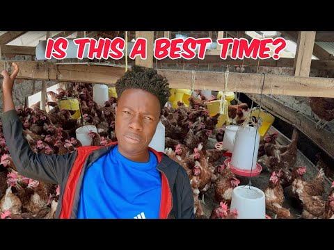 Видео: Большие новости из США 🇺🇸