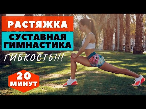 Видео: РАСТЯЖКА / СУСТАВНАЯ ГИМНАСТИКА  / ТРЕНИРОВКА / УЛУЧШАЕМ ГИБКОСТЬ /