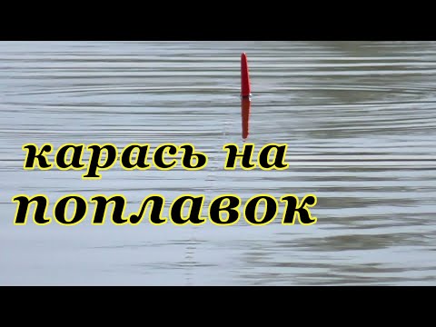 Видео: КАРАСЬ кишит в камышах!!! Ловля карася на поплавок в начале мая.