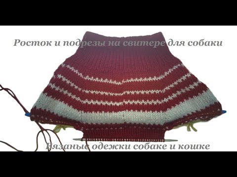 Видео: 16. Росток и подрезы на свитере для собаки
