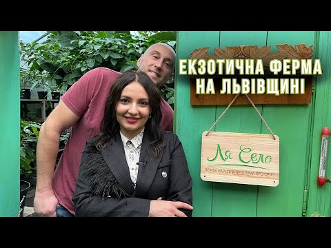 Видео: Тропічна насолода. Як на Львівщині вирощують банани, лимони та папаю?